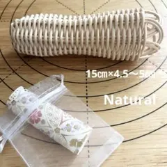 Item thumbnail for item 445a4c23-38e7-431c-8498-8ae659447848