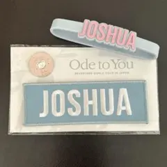 SEVENTEEN ジョシュア ペンライトアクセサリー ワッペン