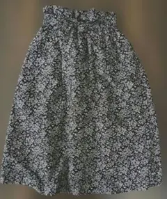 Item thumbnail for item b012c1ac-5ff4-4539-88a3-0d1379aa5f9d