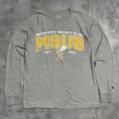 Champion × MONTANA STATE カレッジロンT グレー M