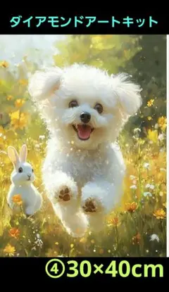 ④白い小型犬とうさぎイラストデザインダイアモンドアートキット30×40cm
