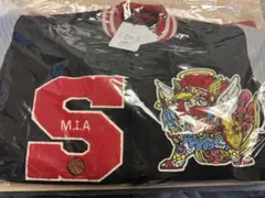 Item thumbnail for item c576c236-64d0-4df6-ba32-a7fa110f0198