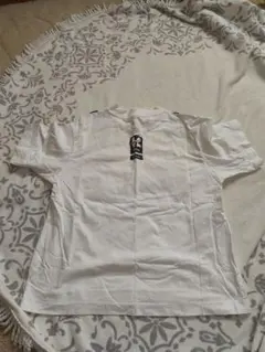 Item thumbnail for item 2611e1ff-1e15-4388-bc3a-c746ef974b63