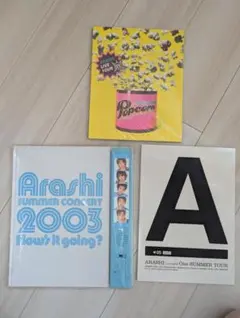 嵐 ライブ パンフレットまとめ売り