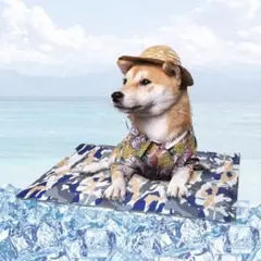 Item thumbnail for item 1e956d95-8c43-46cf-990d-a71473bb98ce