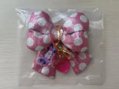 ディズニー パルパルーザ ミニー キーチェーン シークレット