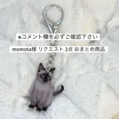 momota様 リクエスト 2点 まとめ商品