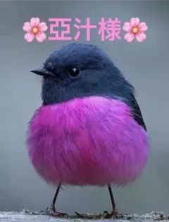 シュシュ(ブラウン)
