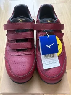 ミズノ オールマイティLS2 22L 25センチ 新品 未使用 - メルカリ