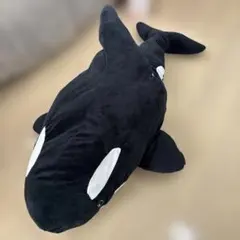 Item thumbnail for item a1d1380e-4207-4c8a-9a3d-4ba1c4631096