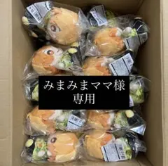 AMPTAK×COLORS Summer あっきぃ 1体