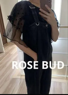 最終SALE！ROSE BUD ローズバッド　チュールスリーブTシャツのサムネイル