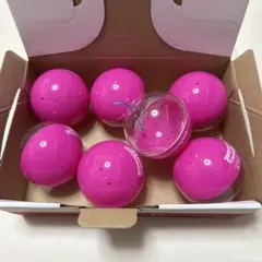 ディズニー パルパルーザ ミニーのファンダーランド カプセルトイ ガチャ