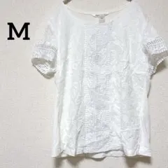 Item thumbnail for item 1b0ecb31-d731-48d3-8fbf-1692a1a09f31