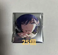匿名配送】 KAITO プロセカ 缶バッジ 44A vol.44A 13個 - メルカリ