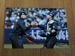オリックスバファローズ　マチャド選手　若月健矢選手　フォト
