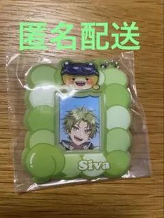 まとめ割あり　カラフルピーチ ミニフォトケース　シヴァ