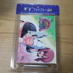 リオパラダイス　アクリル両面フォトフレーム