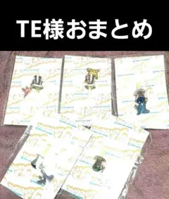 TE様おまとめ