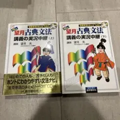 New望月古典文法講義の実況中継 上 下
