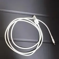 Apple lightningケーブル