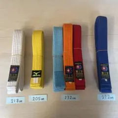 Item thumbnail for item cccb715d-d8ad-48f8-baef-1e53e7f3bef0