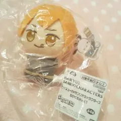 ハイキュー!! サンリオキャラクターズちびぐるみ Vol.1 (日向翔陽)