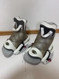 Item thumbnail for item 4d1c579c-3c0c-415b-a40f-fd0a6c9278bb