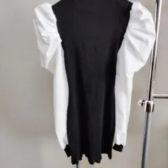 パフスリーブ タイトフィット トップス