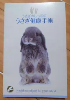 サイカツ様 リクエスト 2点 まとめ商品