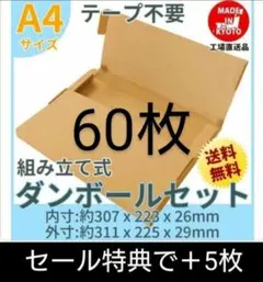 Item thumbnail for item 769cd010-7883-4172-9b23-c12d5b4c6d4c