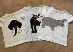mini rodini 動物プリント Tシャツ 110cm 3枚セット