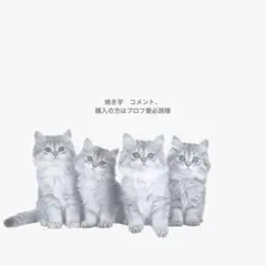 焼き芋　コメント、購入の方はプロフ要必読sama