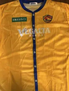 ベガルタ仙台　応援シャツ