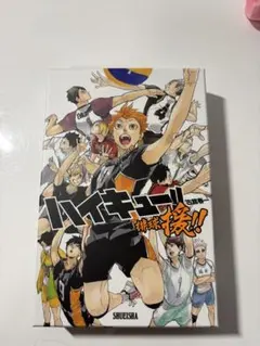 ハイキュー ボードゲーム ボドゲ 排球援