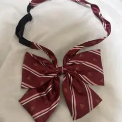 Item thumbnail for item 788e6f7e-1057-4807-aa6d-db5b6c2e36d2