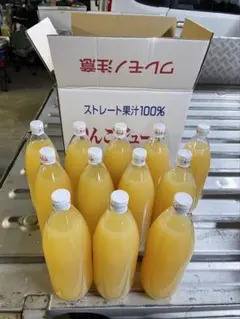 青森県産搾りたて無添加100%りんごジュース1ℓ12本