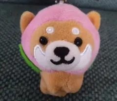 旅するマメしば もも　マスコット　ボールチェーンキーホルダー