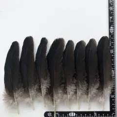 N.T.S様 リクエスト 5点 まとめ商品