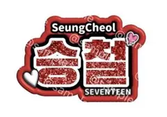 SEVENTEEN スンチョル うちわ　ネームボード　ネムボ　セブチのサムネイル