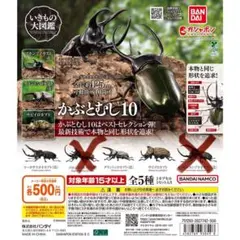 いきもの大図鑑かぶとむし10 3種セット
