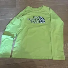 ザノースフェイス Tシャツ