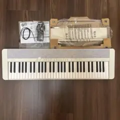 CASIO CT-S1 Casiotone ホワイト【中古美品】 2025年最新】Yahoo!オークション -casio ct-s1の中古品・新品