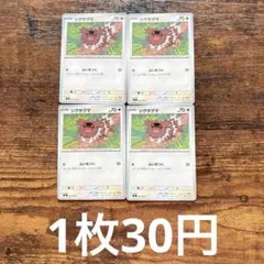 ポケモンカード インフィルノX ジグザグマ 4枚