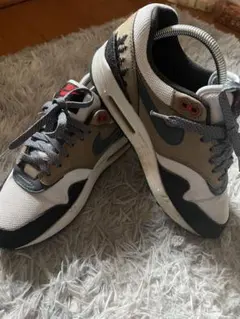 Nike Air Max スニーカー ホワイト/グレー/ベージュ