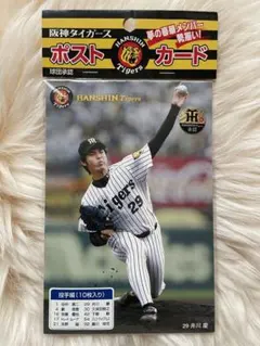 2025年最新】阪神 藪の人気アイテム - メルカリ