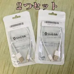 【新品2個セット】Lightning – USB-A ケーブル