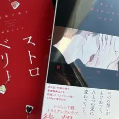 新刊　　チョコストロベリーバニラ　小冊子付き