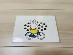 Item thumbnail for item 40b96726-8126-4fd4-8755-0712487d4ffc