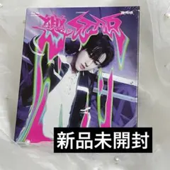 Stray Kids 樂-STAR チャンビン 新品未開封